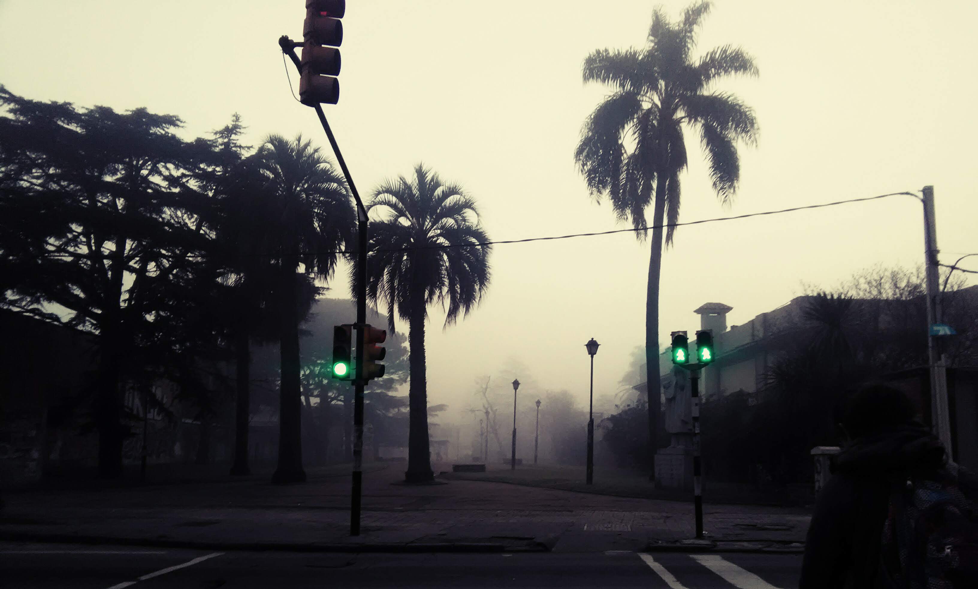 agraciadaycapurro.jpg