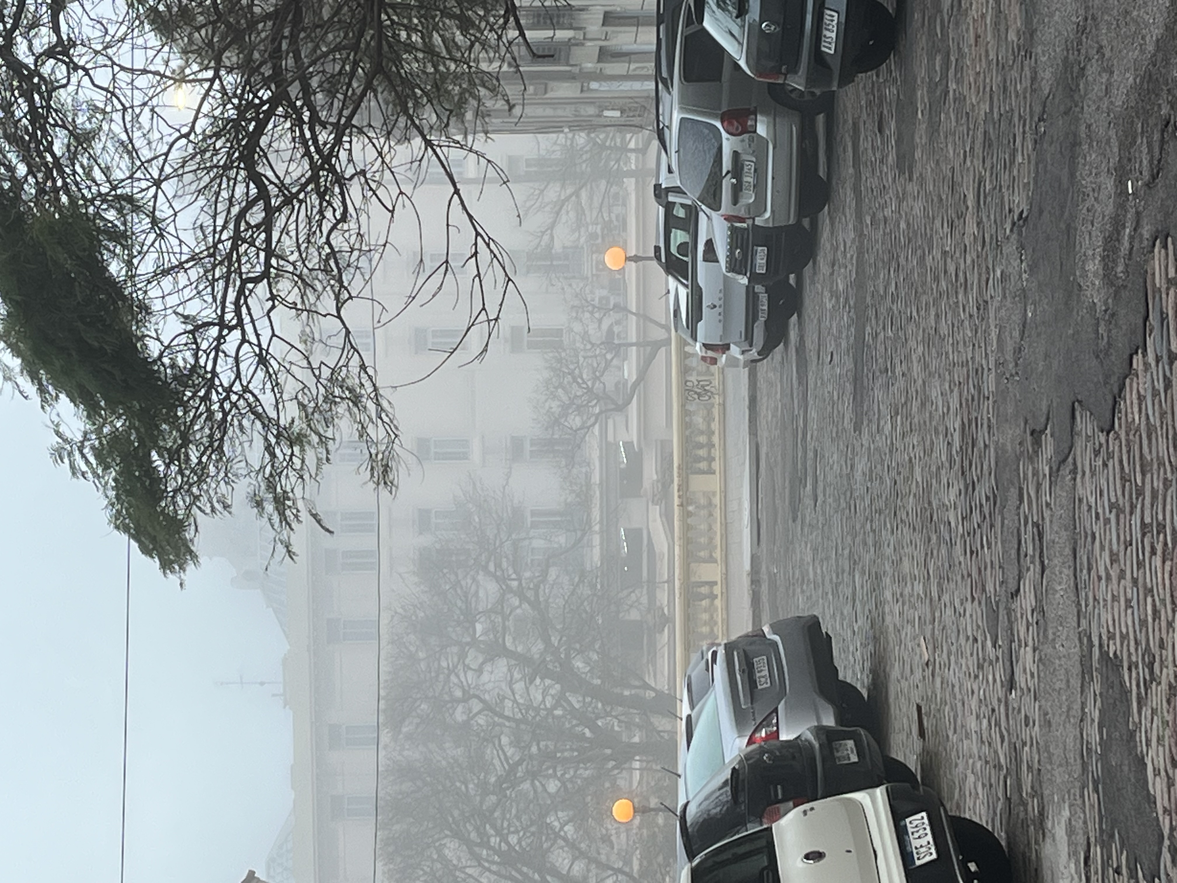 IMG_3600.jpeg