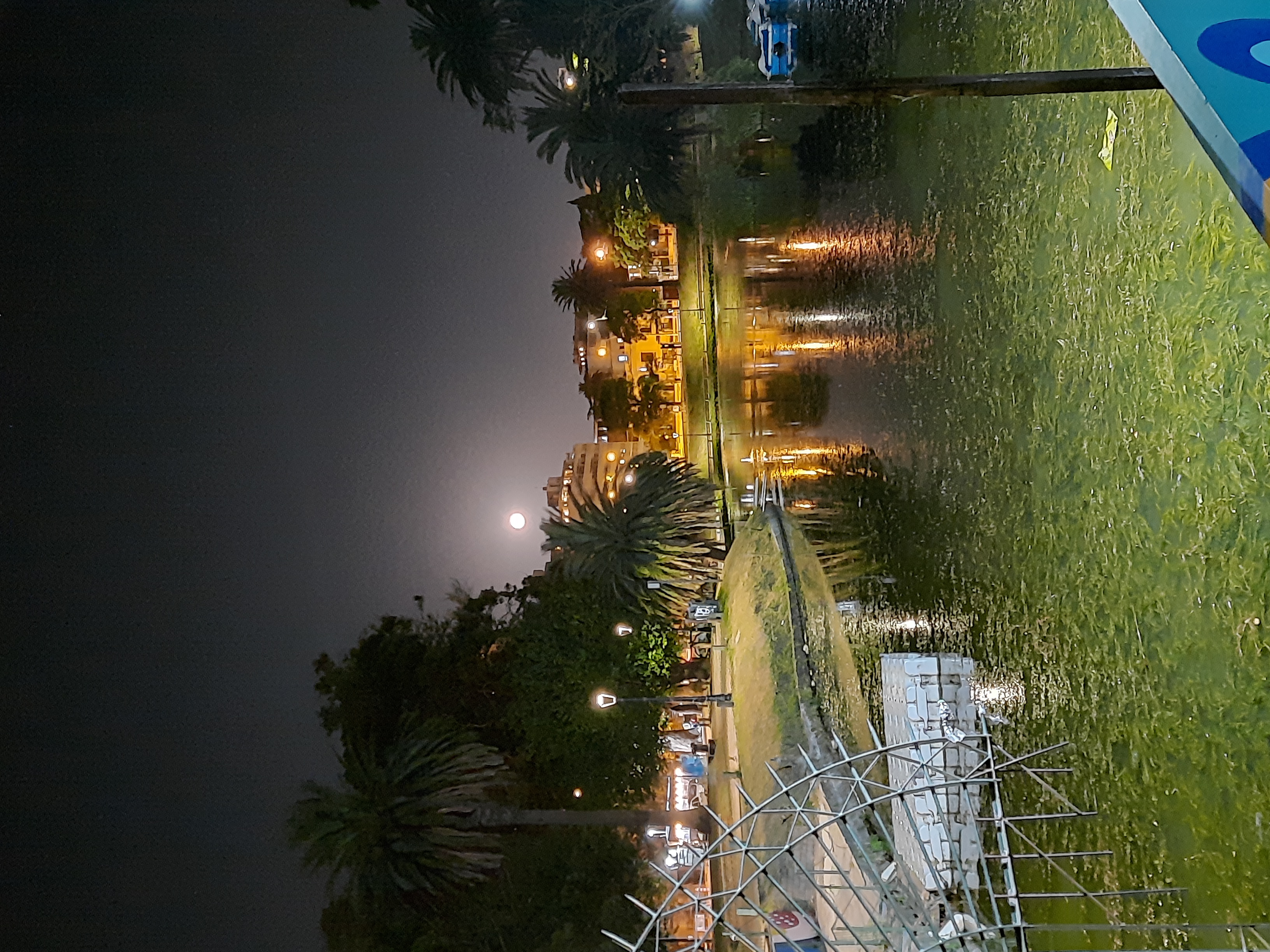 Parque Rodó noche - 2023.jpg