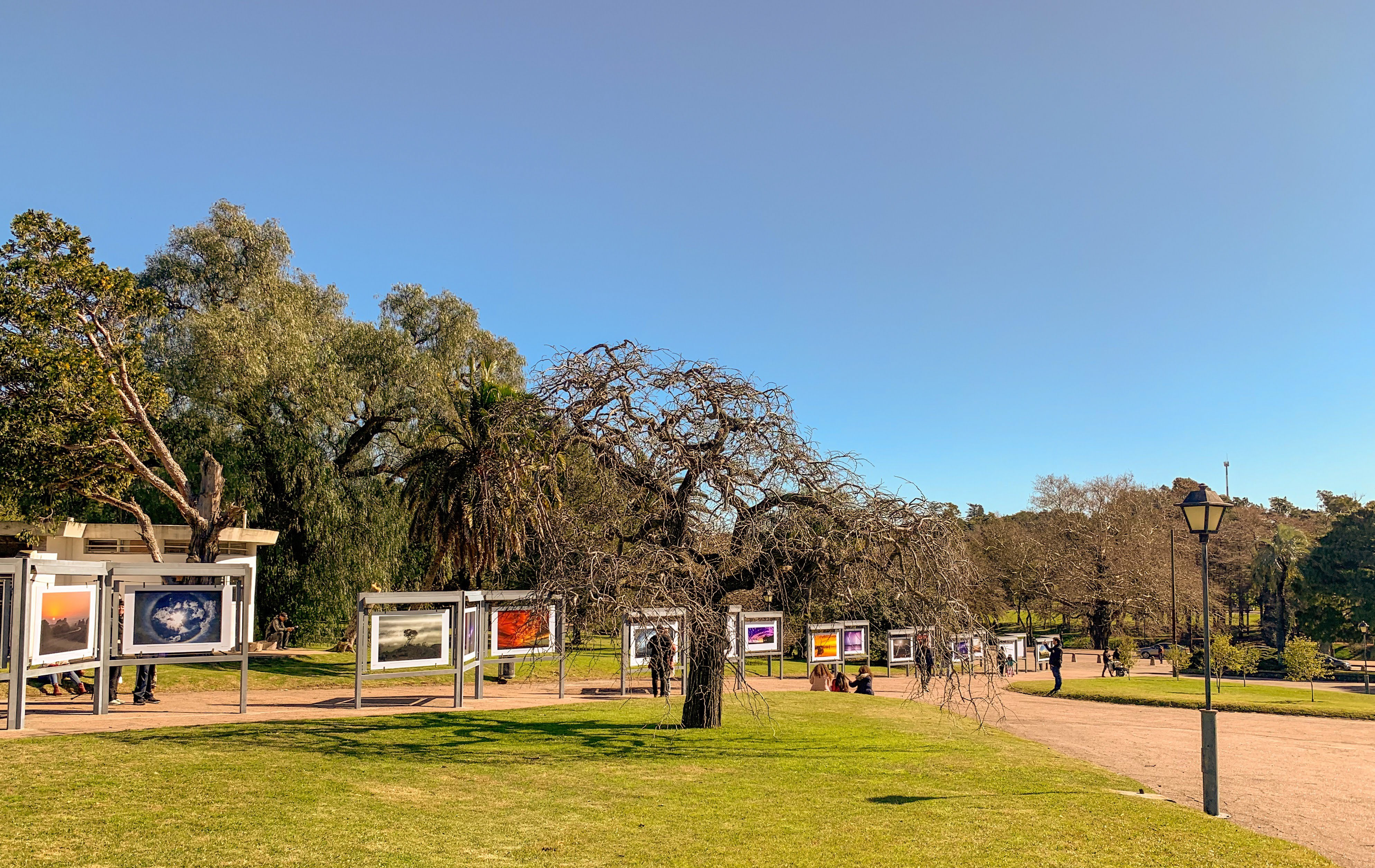 2019-08-10 115229.jpg