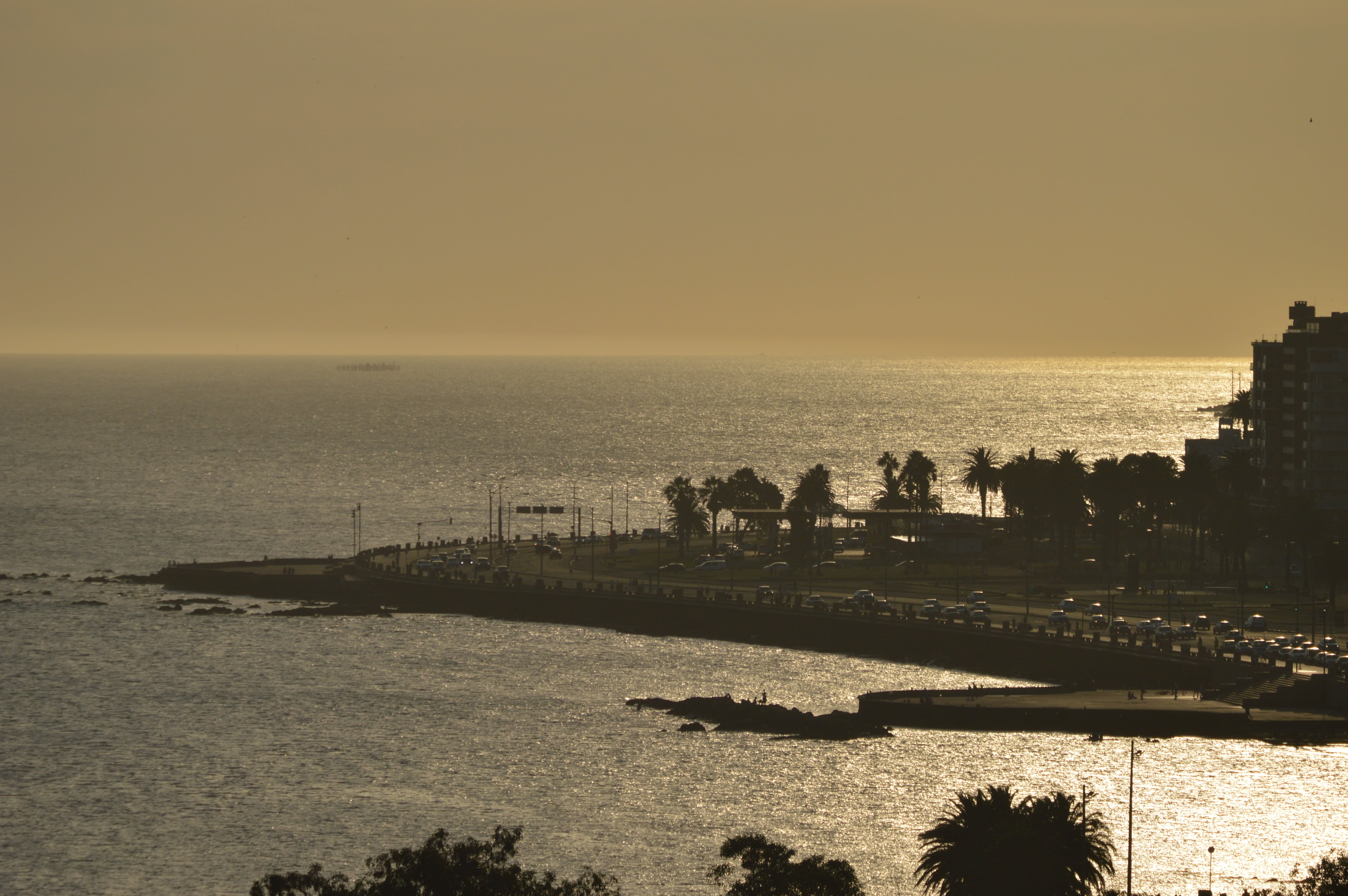 DSC_0275-min.JPG