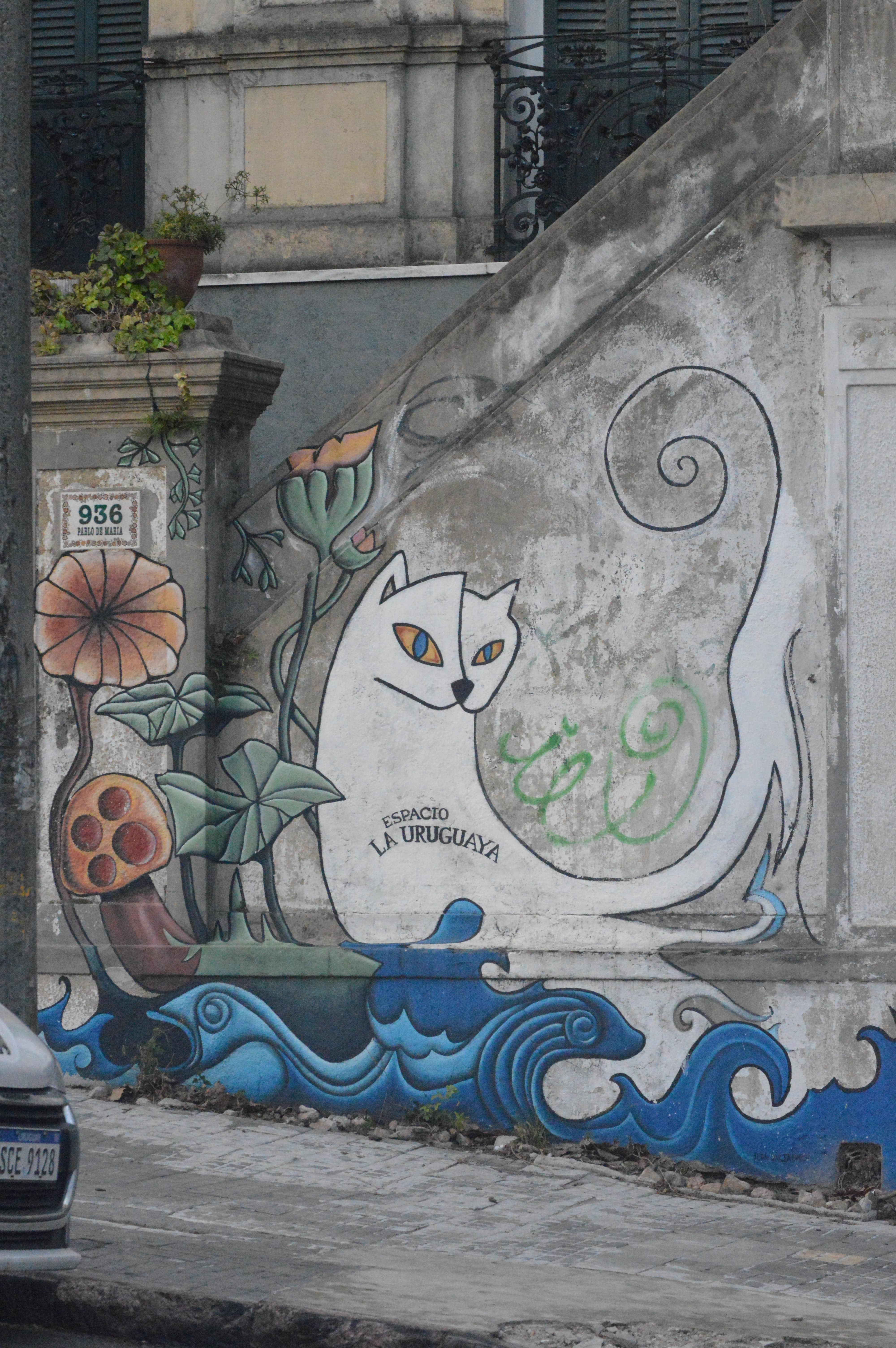 DSC_0731-min.JPG
