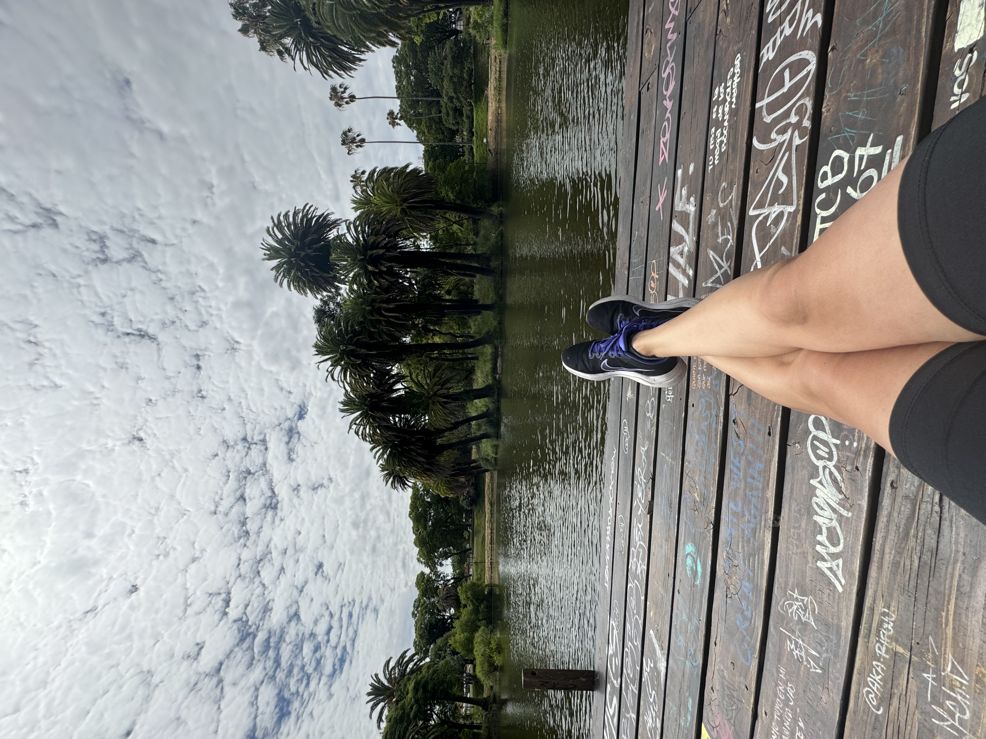 IMG_3307.jpeg