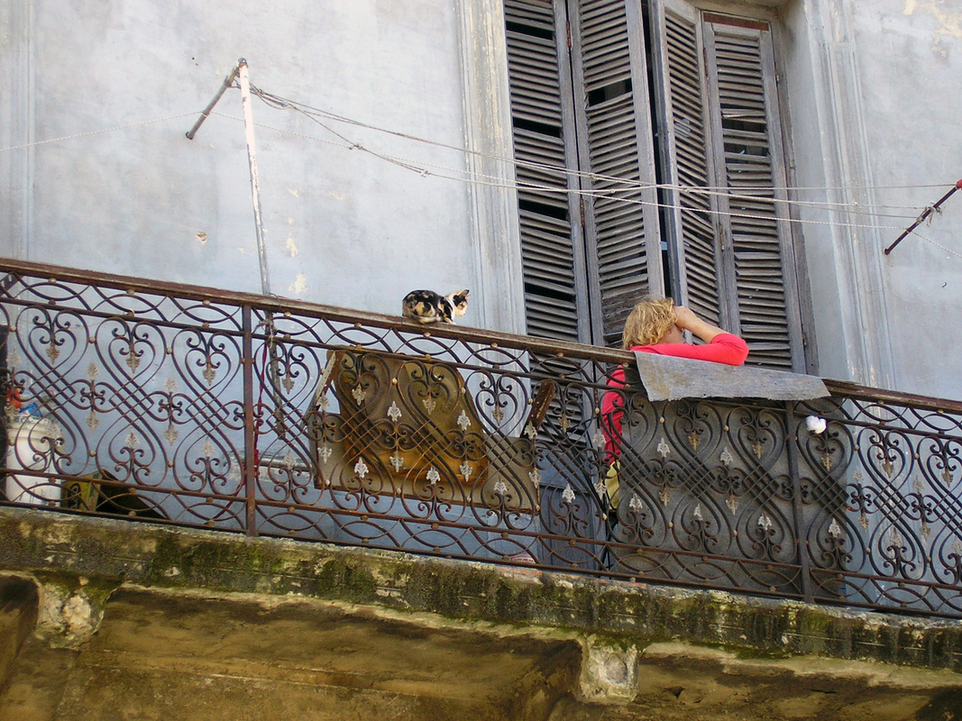OBSERVANDO.jpg
