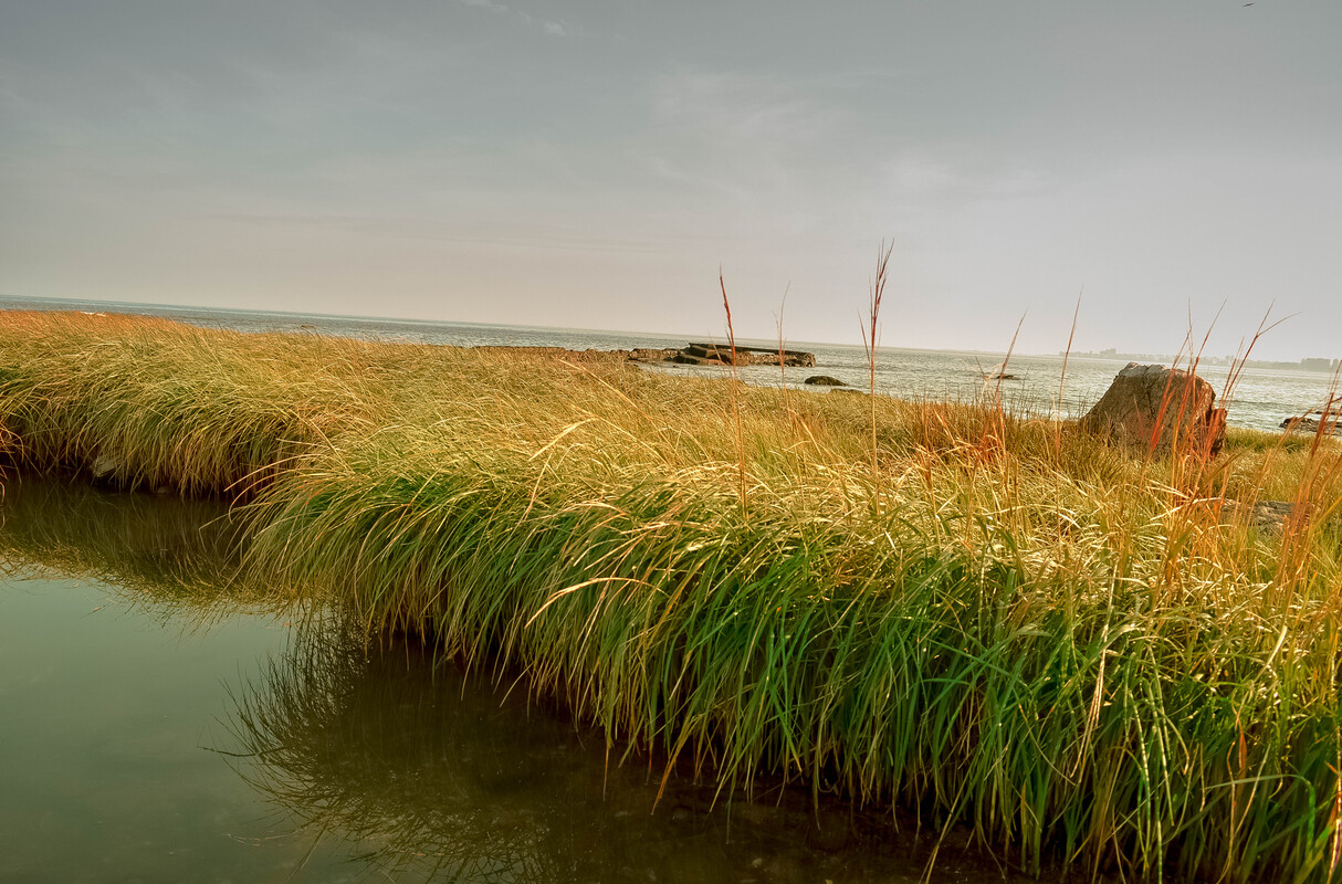 VALHALLA (Playa Honda).jpg
