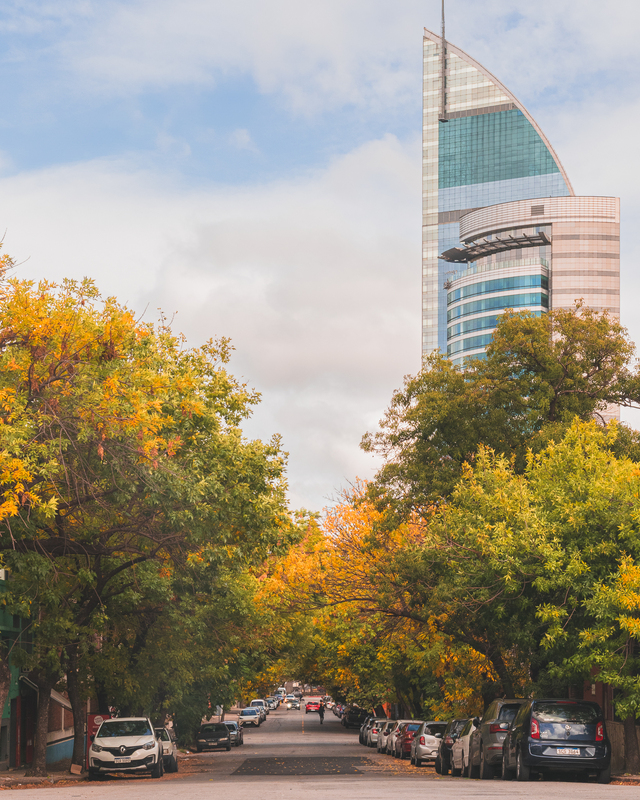Otoño-18.jpg