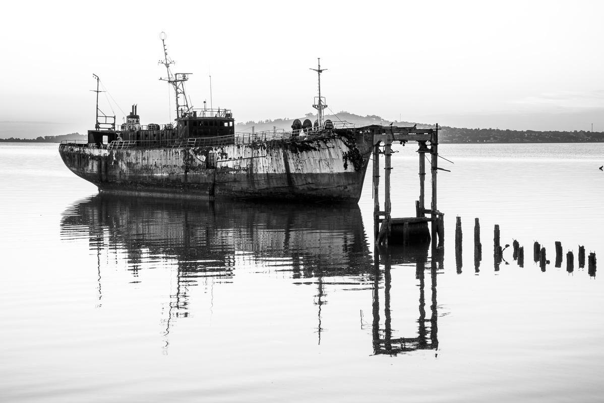 bahía_cerro.jpg