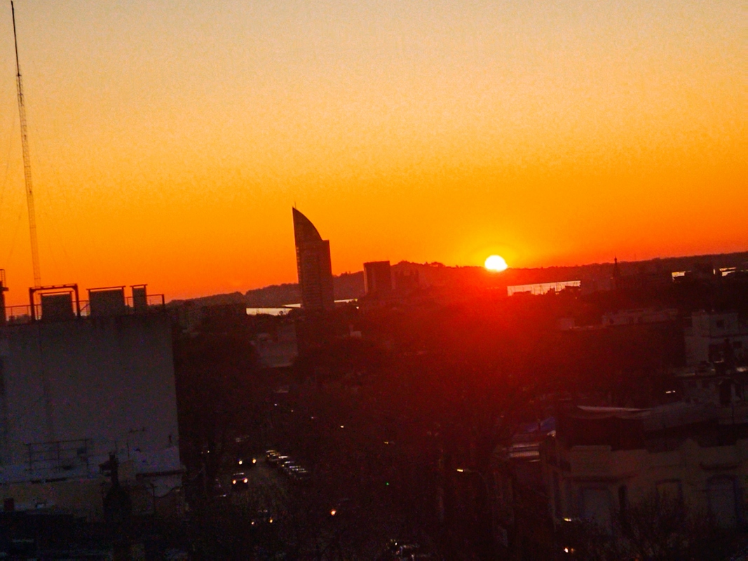 IMG_20220910_183041.jpg