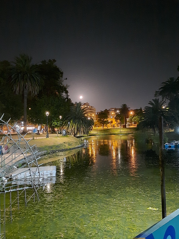 Parque Rodó noche - 2023.jpg