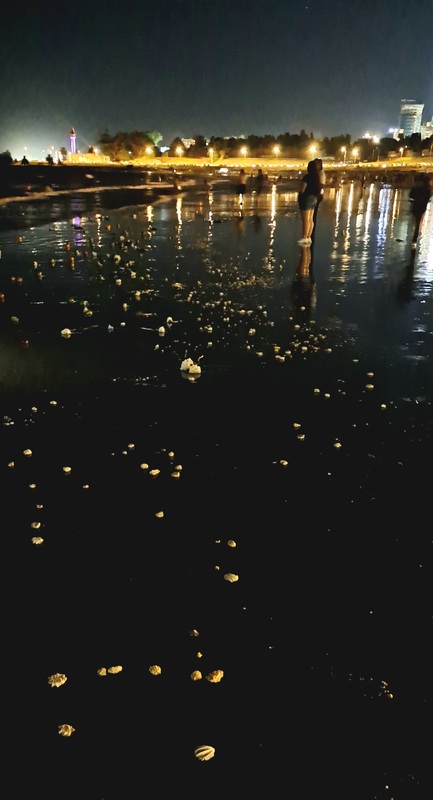 1000175099.jpg