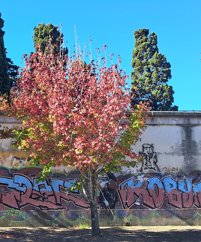 1000176469.jpg