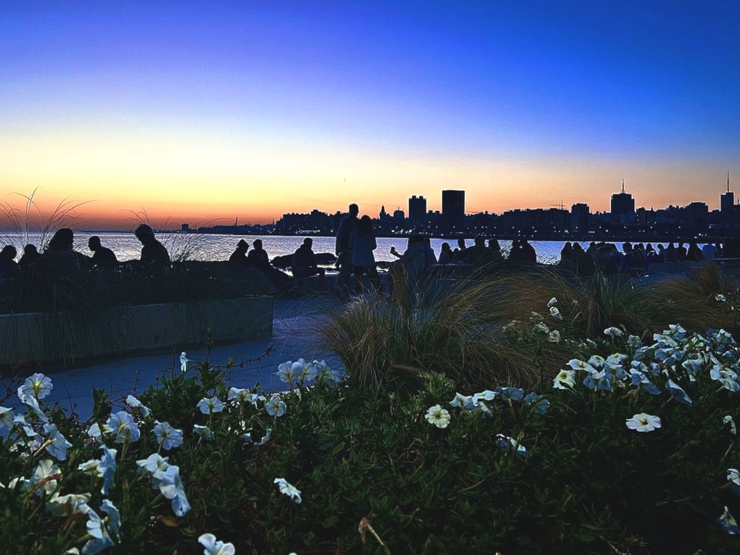 REFLEJOS DEL OCASO.jpg