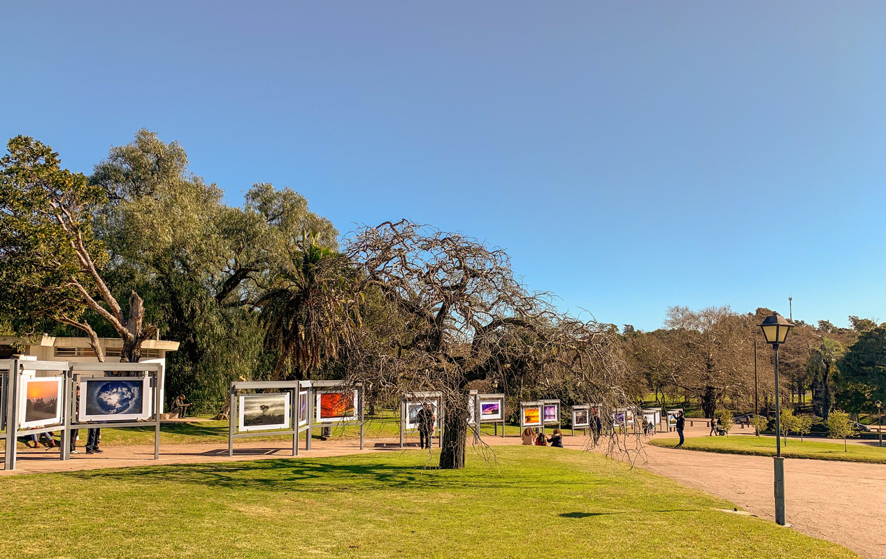 2019-08-10 115229.jpg