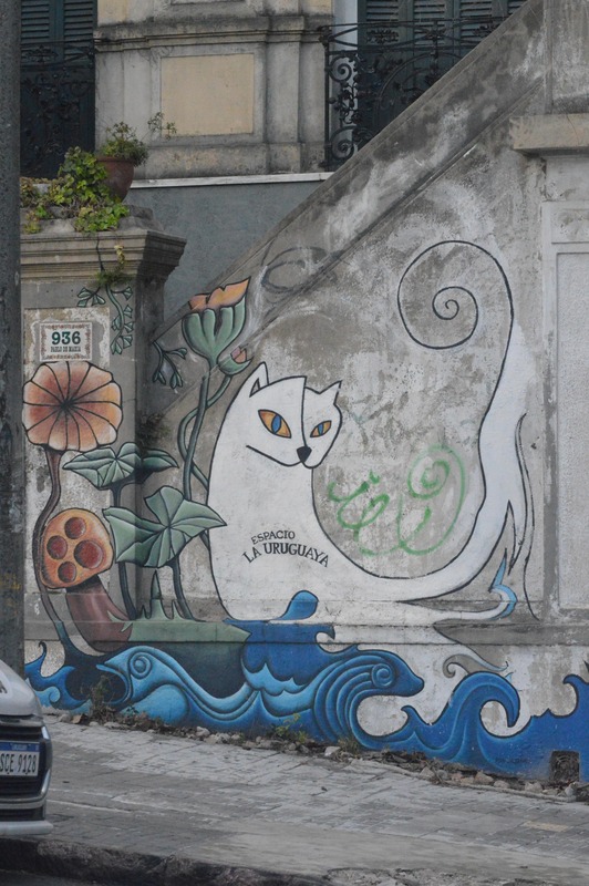 DSC_0731-min.JPG