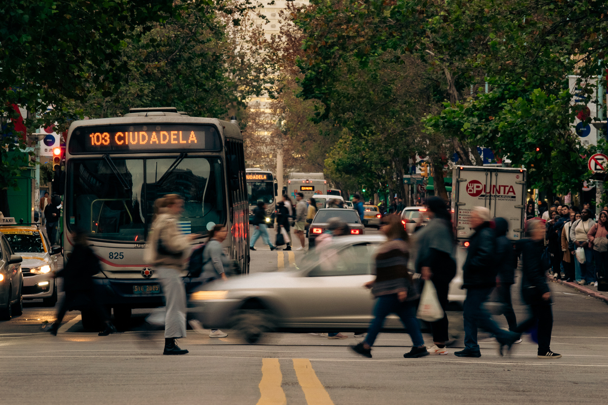 Calle_cinematic-2.jpg