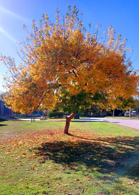 20250415_101240.jpg